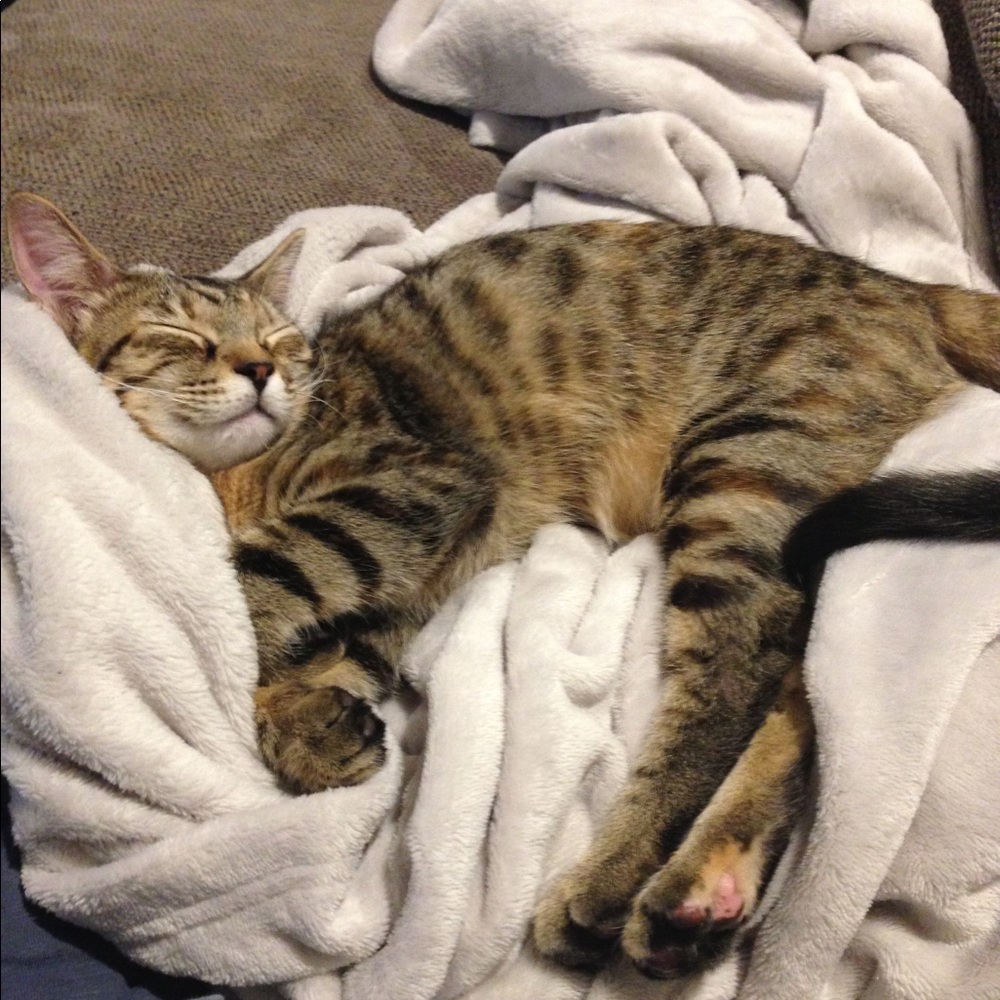 Meet your Posher, Jill